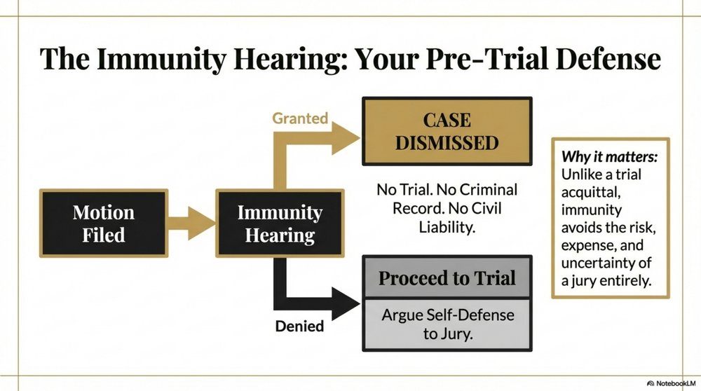 Stand Your Ground immunity hearing flowchart